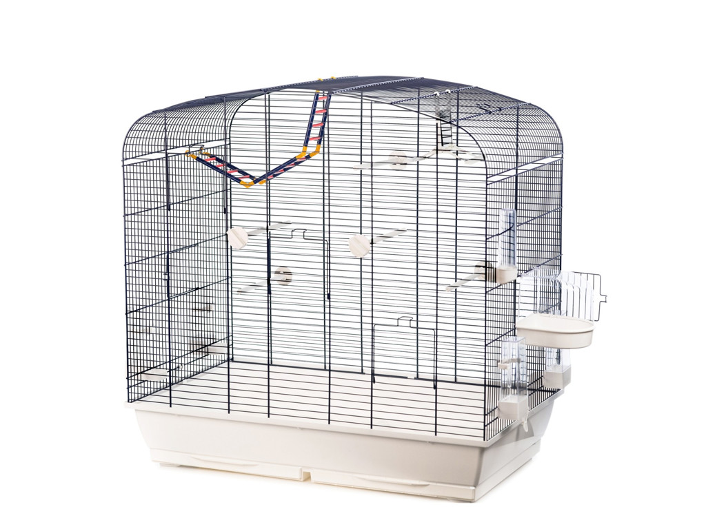 P166 SARA COLOUR +ACCESSORIES