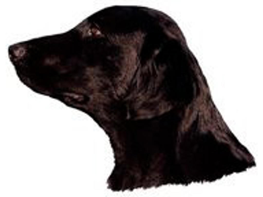 KW DEKAL FLAT-COATED RETRIEVER LILLE