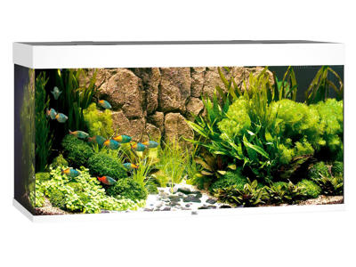 JUWEL MODEL RIO 350 LED AKVARIE HVID