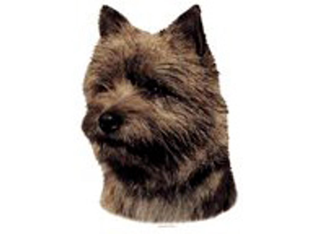 KW CAIRN TERRIER  7.5 CM / 4 STK