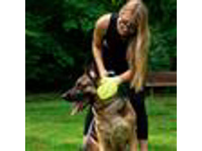 Tick mitt flåt handske, grøn