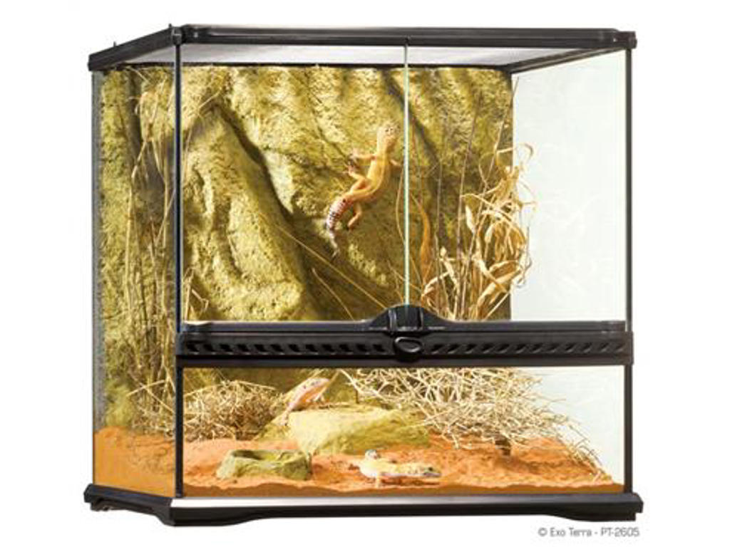 ExoTerra terrarium 45 x 45 x 45 cm.