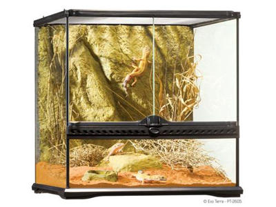 ExoTerra terrarium 45 x 45 x 45 cm.