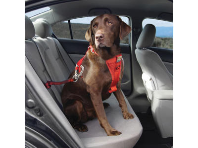 Kurgo tru-fit strength sele XS, rød