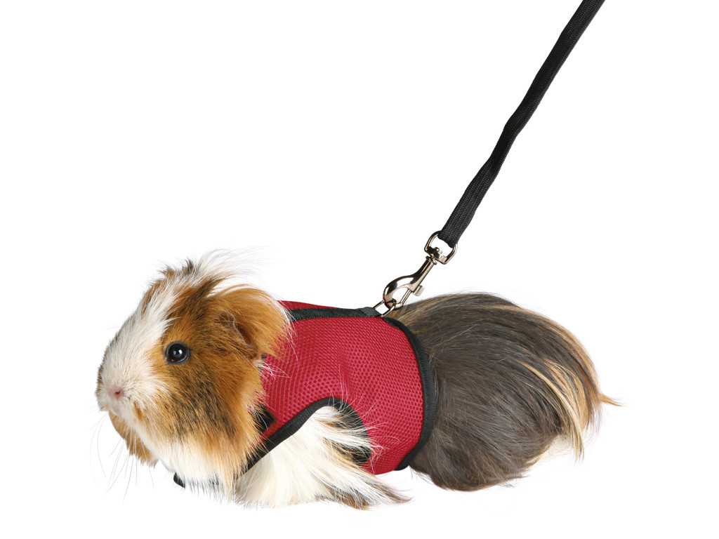 Soft sele t /Marsvin 18-25cm Ass.farver