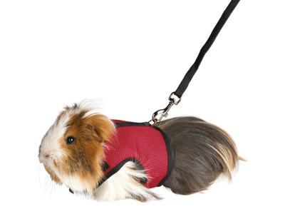 Soft sele t /Marsvin 18-25cm Ass.farver