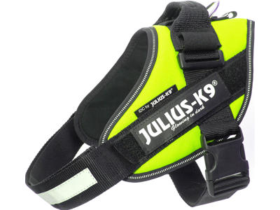 k9 idc sele sixe 0 neon green