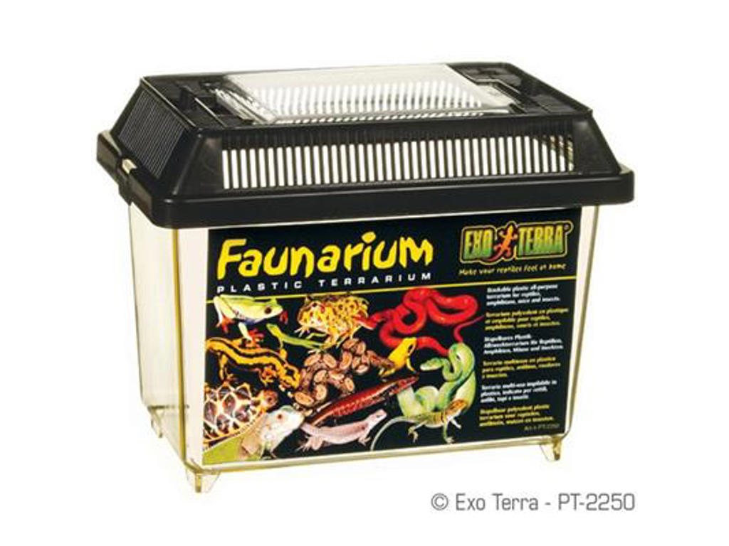 ExoTerra faunarium 18 x 11,6 x 14,5 cm. Mini