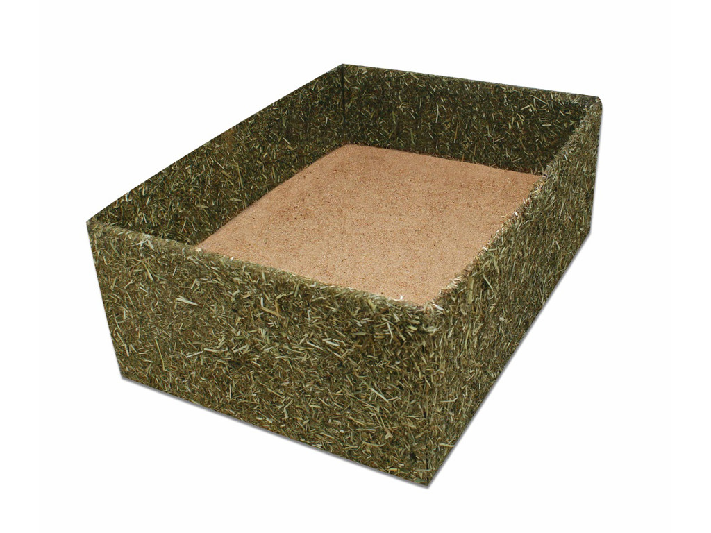 JR Back to Instinct Gravekasse