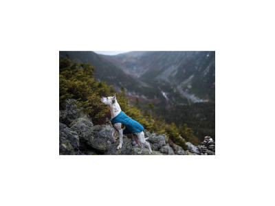 Kurgo Loft Frakke - Mint - S