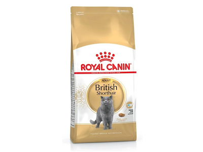 Royal Canin British Shorthair Adult 2 kg – Tørfoder til voksne British Shorthair katte