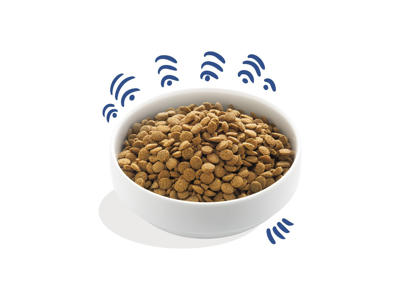 EC fresh norwegian adult laks 2,5kg