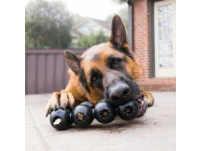 KONG EXTREME GOODIERIBBON M 6x18x4,5CM
