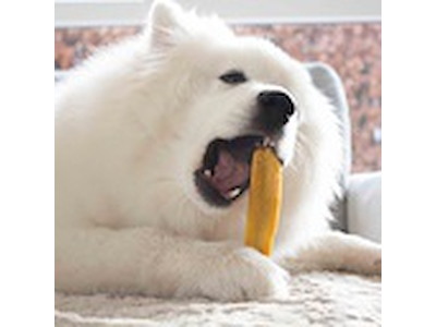 Yaki Gurkemeje L 100-119 g – Naturlig Tyggepind til Hunde