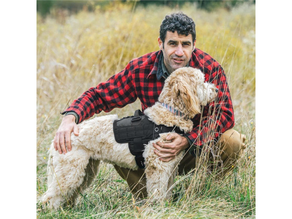 Kurgo RSG townie sele sort, M