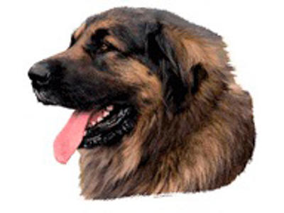 KW LEONBERGER 14 CM / 2 STK