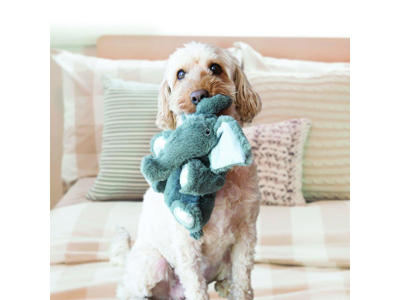 Kong comfort kiddoselephant XS 10x12x15CM