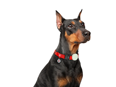 AirTag Holder GLOW silikone  f/Halsbånd 15-40 mm