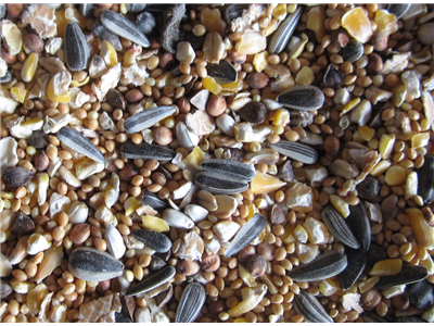 Vildfugleblanding 15 kg. premium uden korn