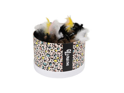 District 70 glory display box