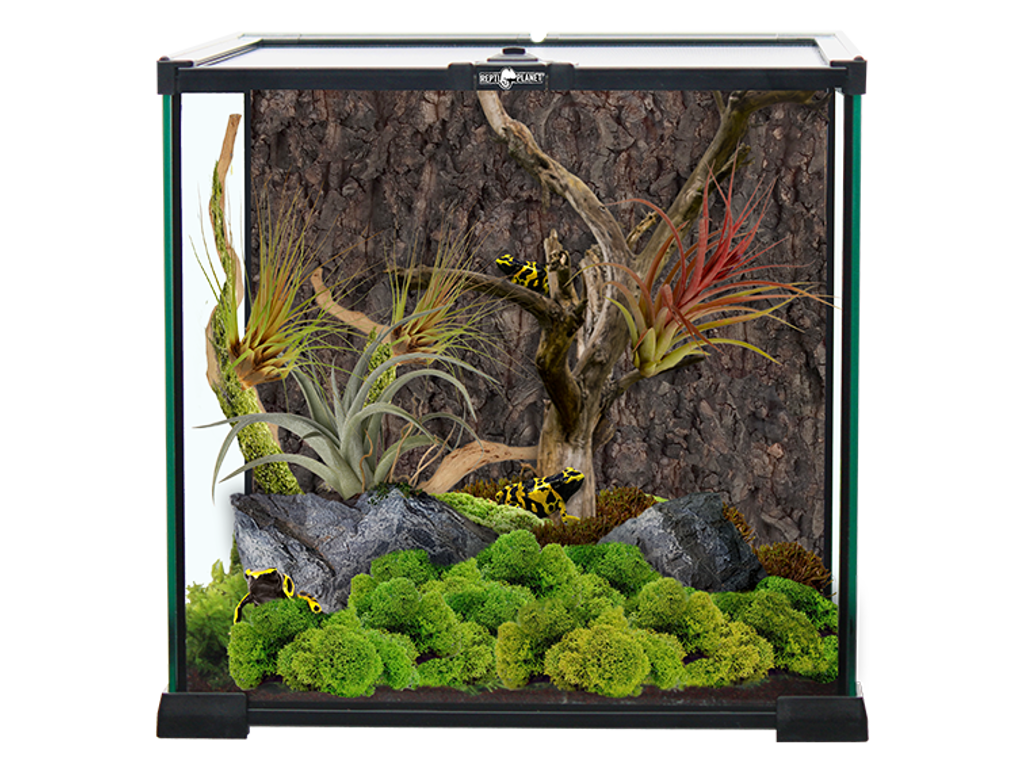 Terrarium 30x30x30cm