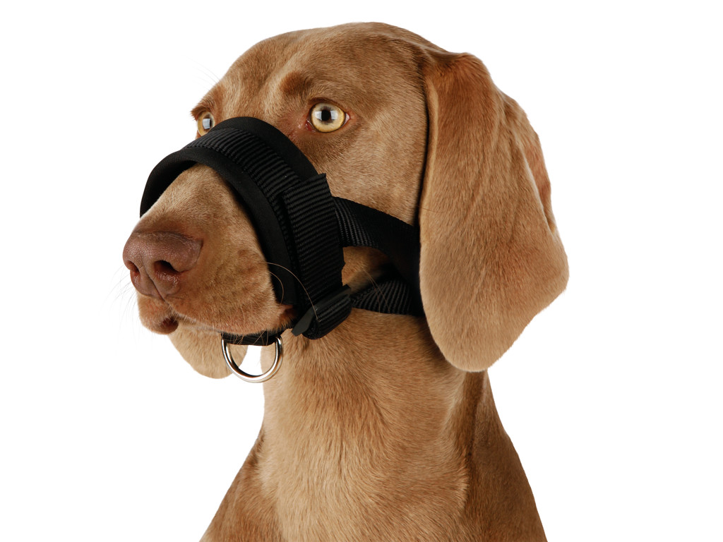 Nylon-Mundkurvestrop, str. 3