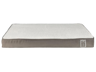 Best of all breeds vital pude, 80 x 50 cm, taupe / lys grå