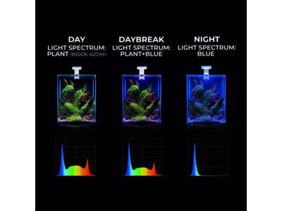Leddy smart LED lys sunny D/N 4,8W Sort