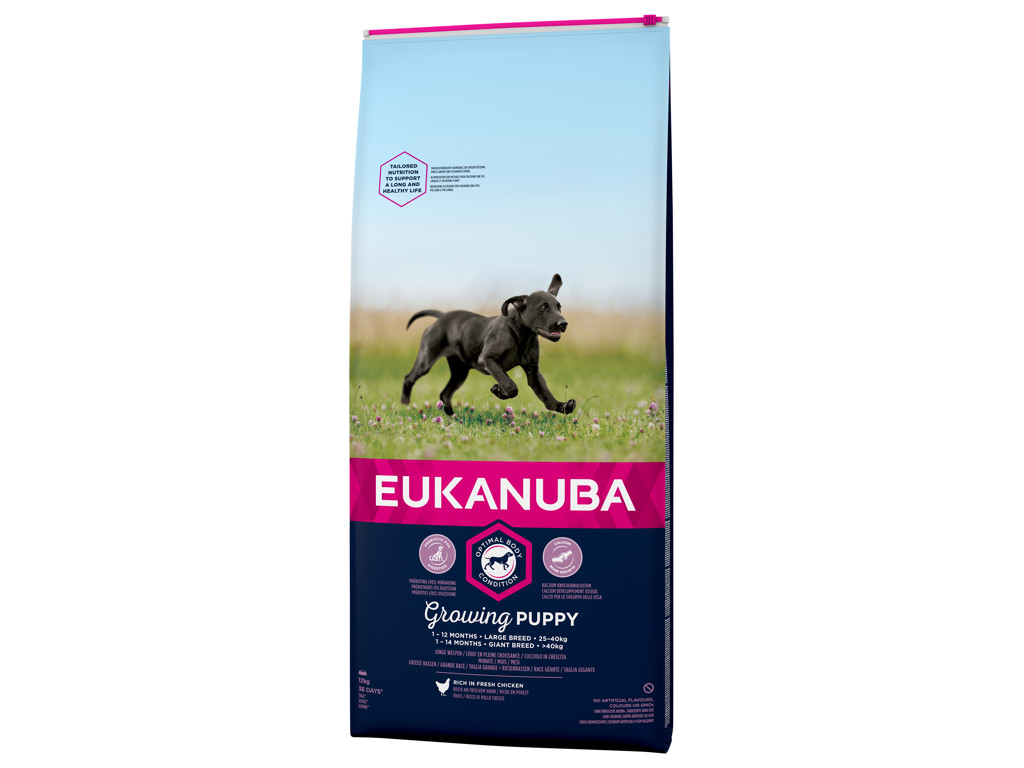 Eukanuba Puppy Large Breed 12 kg