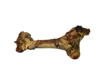 TreatTime gigant okseben XL  40-45 cm.