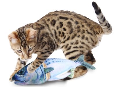 RENSET MAKREL NATURAL INSTINCT