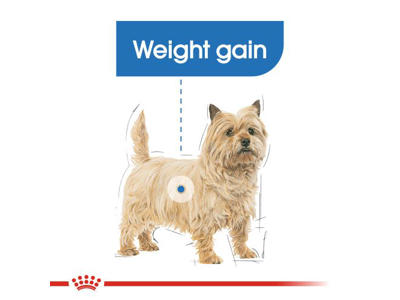 SHN Mini Light Weightcare 8 KG