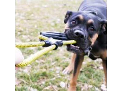 KONG JAXX INFINITY TUG LARGE
