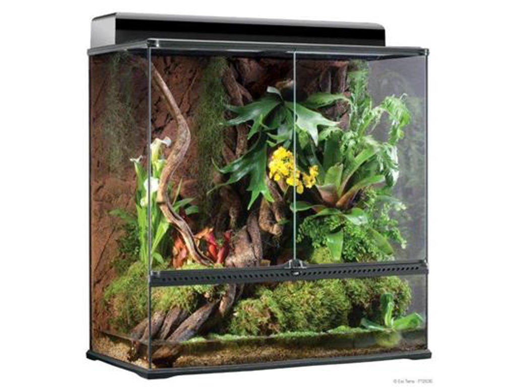 ExoTerra terrarium 90 x 45 x 90 cm.