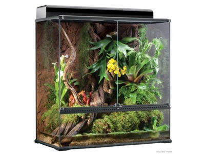 ExoTerra terrarium 90 x 45 x 90 cm.