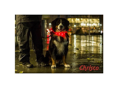 Chrisco LED-halsring – 70 cm (assorterede farver)