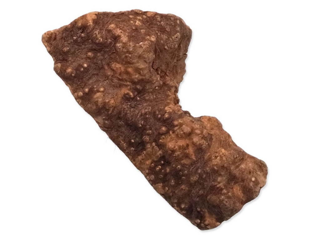 Epic Pet legetøj af rod Tyggelegetøj XL (500g - 750g)