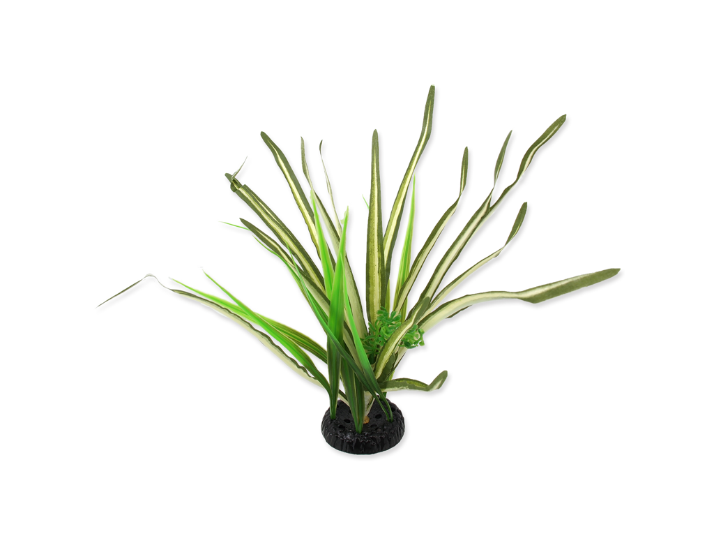 PLANTE SPARTINA 30cm
