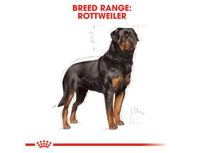 BHN Rottweiler 12 KG