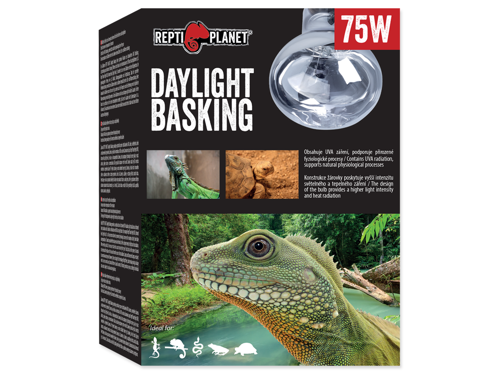 Pære Daylight Basking Spot 75W
