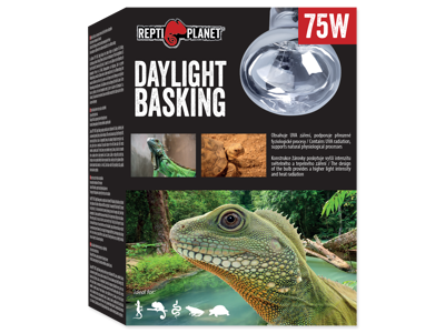 Pære Daylight Basking Spot 75W