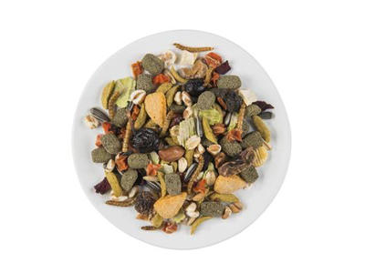 Witte Molen PUUR Hamster 1,5 kg– Naturligt Fuldfoder med Melorme, Frugt og Vitaminer