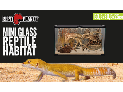 Terrarium 50,5x30,5x25cm