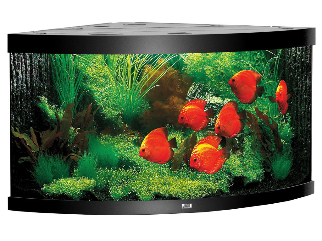 JUWEL MODEL TRIGON 350 LED AKVARIE 350 L