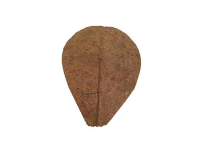 Catappa - mandelblade ps. á 10 stk.