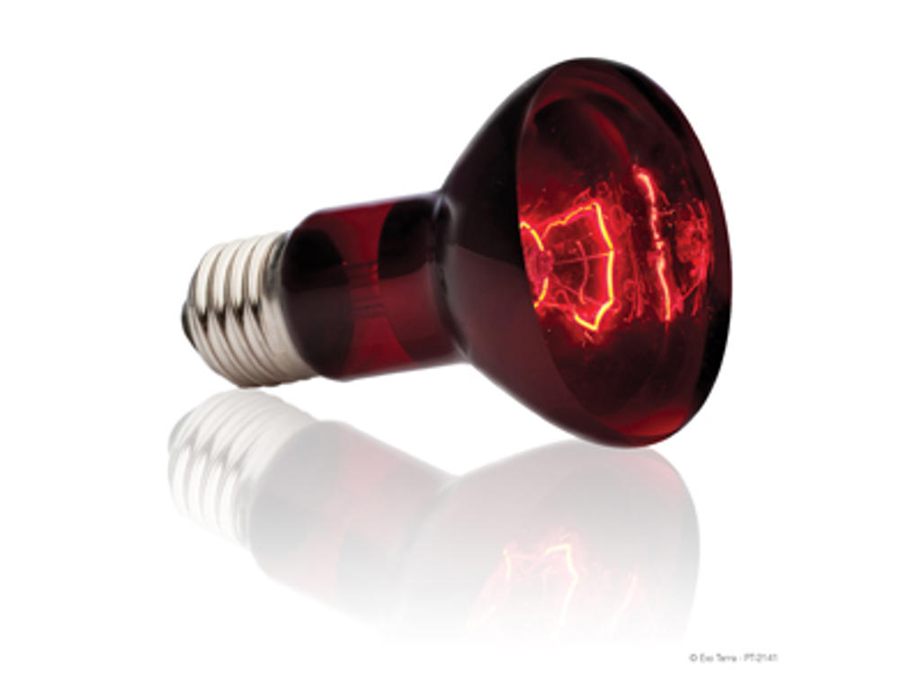 EXO TERRA VARMEPÆRE HEATGLO INFRA 50 W