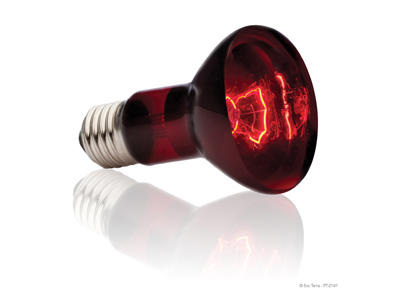 EXO TERRA VARMEPÆRE HEATGLO INFRA 50 W