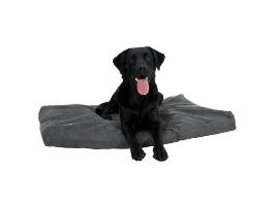 BUSTER Memory Foam hundeseng 120x100cm grå