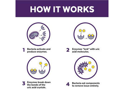 Urine Off Cat Formula Refill 3,78 L – Enzymbaseret Lugt- og Pletfjerner mod Katteurin