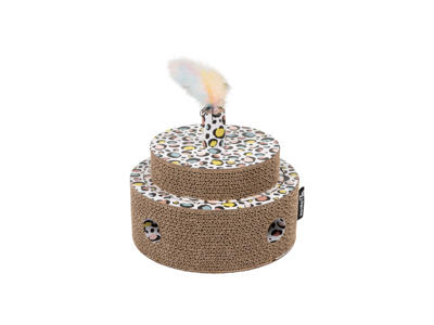 District 70 fiesta - sprinkle